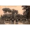 COUNTY 02800 - LA FERE - AVENUE DUPUIS - HORSES SWIMMING