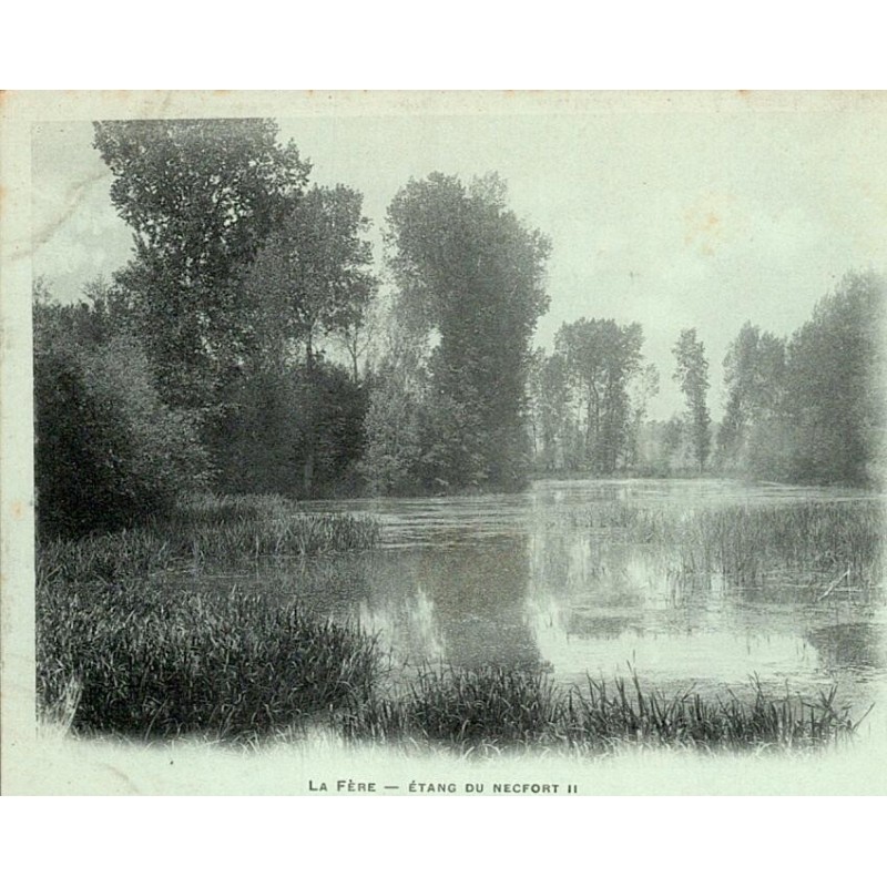 02800 - LA FERE - ETANG DU NECFORT