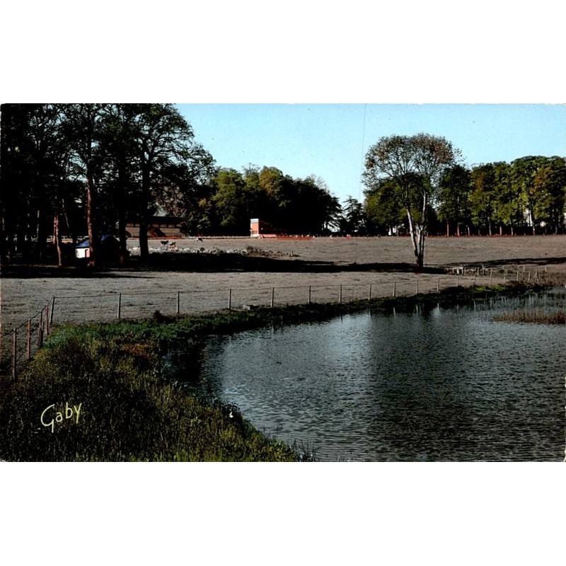 County 61150 - Ranes - The castle pond