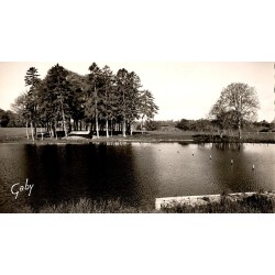 County 61150 - Ranes - The castle pond