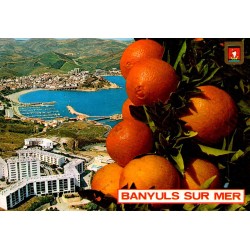 66650 - Banyuls-sur-Mer