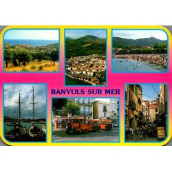 County 66650 - Banyuls-sur-Mer