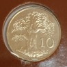 ZIMBABWE - KM 3 - 10 CENTS 1980 - BIRD