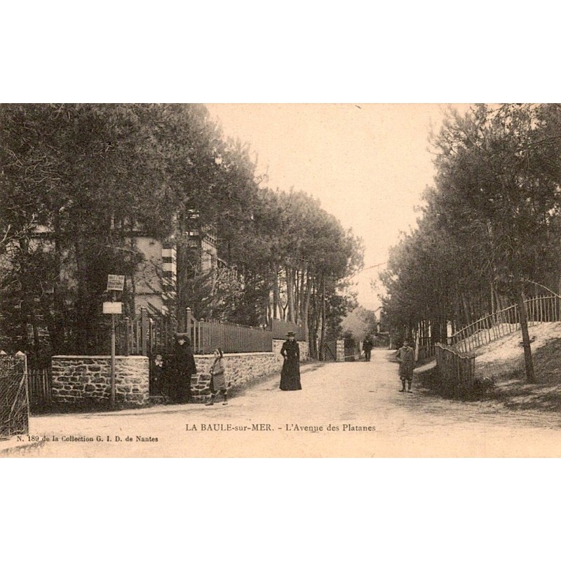 44500 - LA BAULE-SUR-MER - DIE AVENUE DES PLATA NES