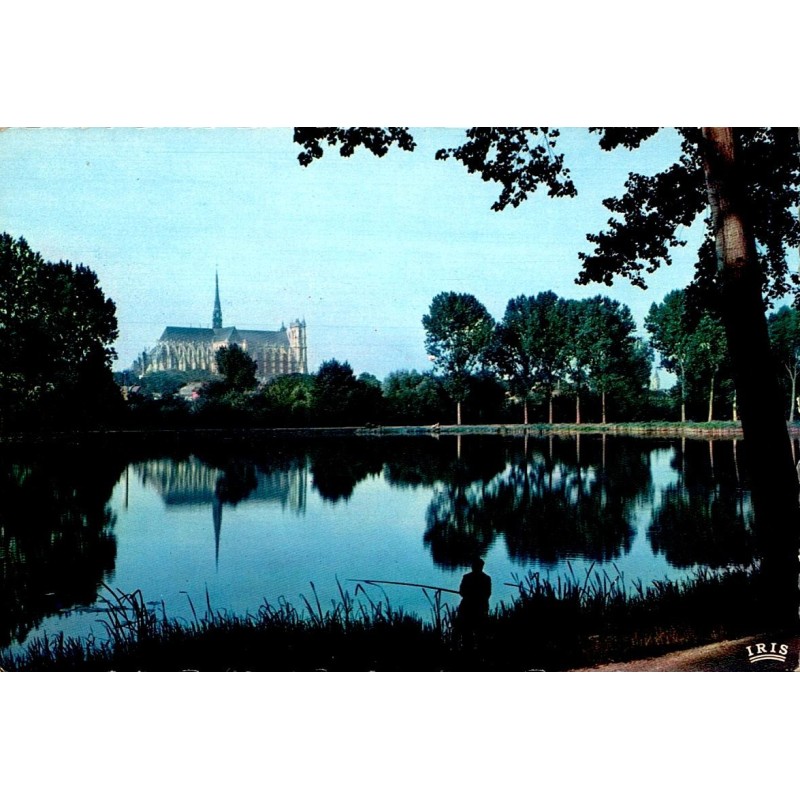 County 80000 - Amiens - Cathedral