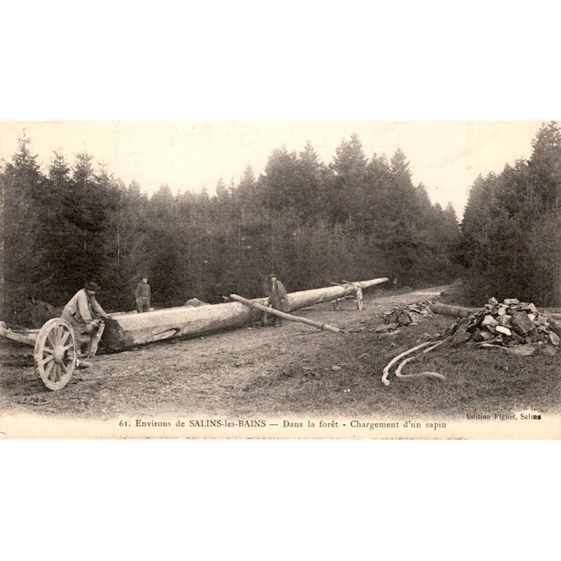 County 39110 - SURROUNDINGS OF SALIN-LES-BAINS - IN THE FOREST - LOADING A FIR