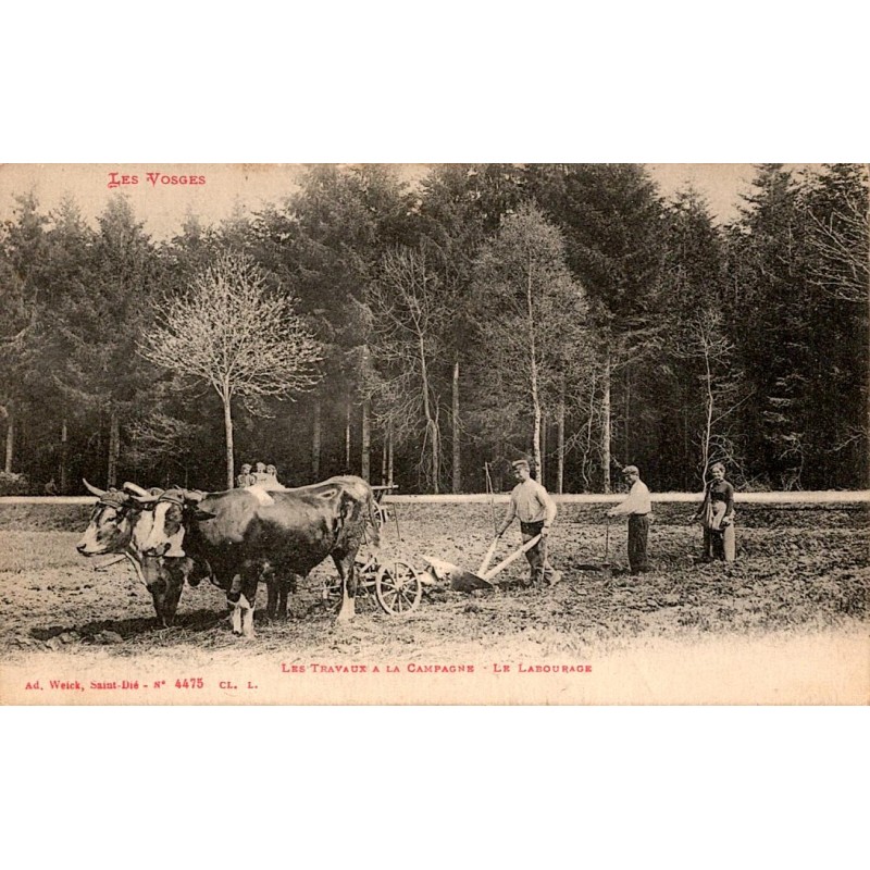 COUNTY 88 - THE VOSGES - WORK IN THE COUNTRYSIDE - PLOWING