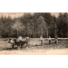 COUNTY 88 - THE VOSGES - WORK IN THE COUNTRYSIDE - PLOWING