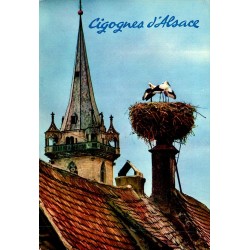 COUNTY 67000 - PICTURESQUE ALSACE - STORK’S NEST