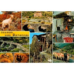 COUNTY 30 - IMAGES OF THE CEVENNES