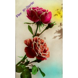 OLD POSTCARD - STE BARBE - ROSES