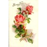 OLD POSTCARD - STE BARBE - ROSES