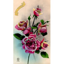 OLD POSTCARD - STE BARBE - ROSES