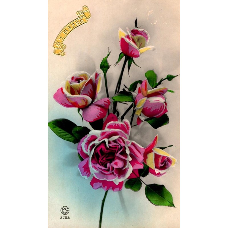 OLD POSTCARD - STE BARBE - ROSES