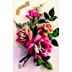 OLD POSTCARD - STE BARBE - ROSES