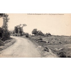 56430 - MORBIHAN - FORET DE PAIMPON