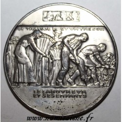 MEDAILLE - MÉDAILLE AGRICOLE - LE LABOUREUR ET SES ENFANTS - BRONZE ARGENTE