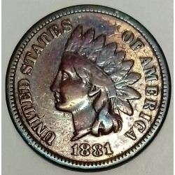 VEREINIGTE STAATEN - KM 90a- 1 CENT 1881 - INDIAN Kopf