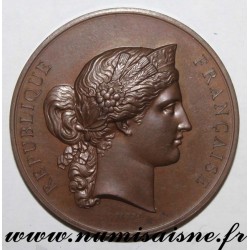 MÉDAILLE - AGRICULTURE - CONCOURS AGRICOLE DE ANNONAY - 1873