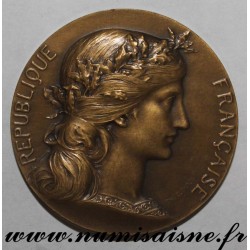 MEDAL - POLITICS - OFFERED BY EMILE PERIN - DEPUTY FOR NIÈVRE