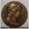 MEDAILLE - POLITIK - ANGEBOTEN VON EMILE PERIN - STELLVERTRETUNG FÜR NIÈVRE