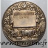 MEDAL - AGRICULTURE - LA GUERCHE DE BRETAGNE - AGRICULTURAL AND HORTICULTURAL ASSOCIATION - 1892