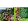 CHYPRE - COFFRET EURO BRILLANT UNIVERSEL 2021 - MOUFLON - 3.88 euros