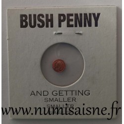 VEREINIGTE STAATEN -1 CENT 1905 - INDIAN KOPF - BUSH PENNY