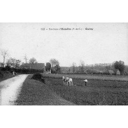 62140 - GUISY - ENVIRONS D'HESDIN - CHEVAUX