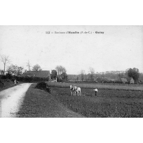 62140 - GUISY - ENVIRONS D'HESDIN - CHEVAUX