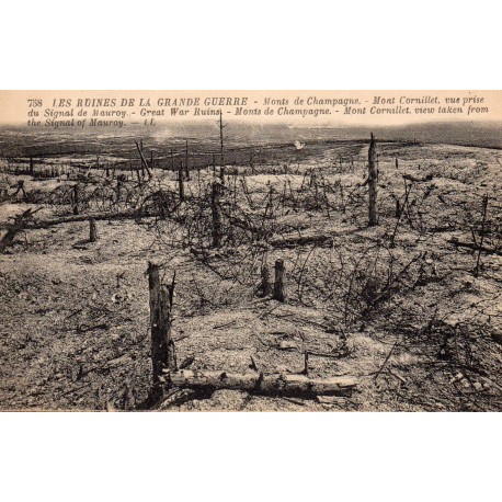 51 - LES RUINES DE LA GRANDE GUERRE - MONTS DE CHAMPAGNE - MONT DE CORNILLET - VUE PRISE DU SIGNAL DE MAUROY