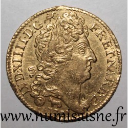 FRANCE - Gad 256a - LOUIS XIV - GOLD LOUIS FORM BÉARN AT SUN - 1711 - Pau