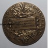 MEDAL - AGRICULTURE - COMPETITION GENERAL AGRICOLE DE PARIS - DEPUTY COMMISSIONER