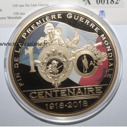 FRANCE - MEDAL - 100 years since the end of the 1st WORLD WAR - 2018