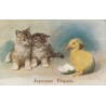 CARTE POSTALE VINTAGE - JOYEUSES PAQUES - CHATONS - POUSSIN