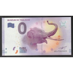 FRANCE - County 31000 - TOULOUSE - MUSEUM - ELEPHANT - 2017-1