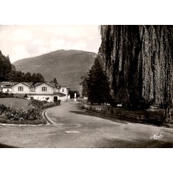 County 31 - LUCHON - The...