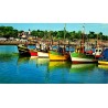 County 44210 - Pornic - Fishing boats