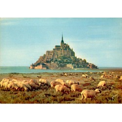 County 50170 - Le Mont Saint Michel - Sheep