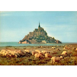 Komitat 50170 - Le Mont Saint Michel - Schaf
