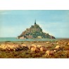 50170 - Le Mont Saint Michel - Moutons de près salés