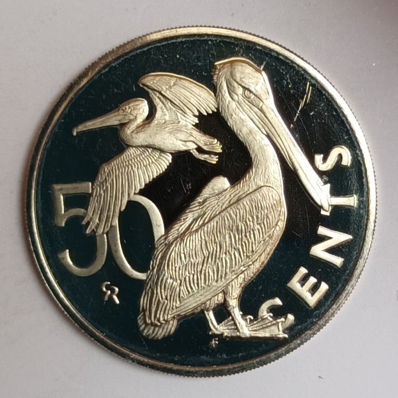 ILES VIERGES BRITANIQUES - KM 5 - 50 CENTS 1975 - ELIZABETH II - PELICANS