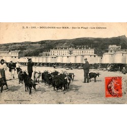 62200 - BOULOGNE-SUR-MER - SUR LA PLAGE - LES CHEVRES (1907)