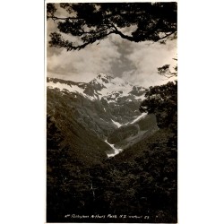 NEUSEELAND - MOUNT ROLLESTON ARTHURS PASS