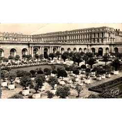 78000 - VERSAILLES ET SES MERVEILLES - LES JARDINS DU CHÂTEAU - L'ORANGERIE