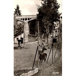 63710 - SAINT-NECTAIRE - STATION THERMALE ET TOURISTIQUE - LE PARC - LES CERFS - 1961