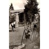 63710 - SAINT-NECTAIRE - SPA AND TOURIST STATION - LE PARK - LES CERFS