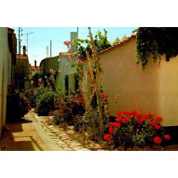 17590 - ILE DE RÉ - ARS - ALLEY IN BLOOM