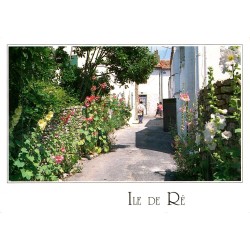 17580 - ILE DE RÉ - ALLEY FLOWERED WITH HOLLYHOCKS