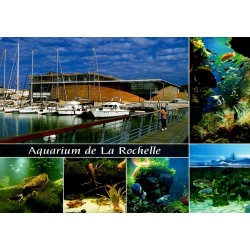 17000 - LA ROCHELLE - AQUARIUM DE LA ROCHELLE